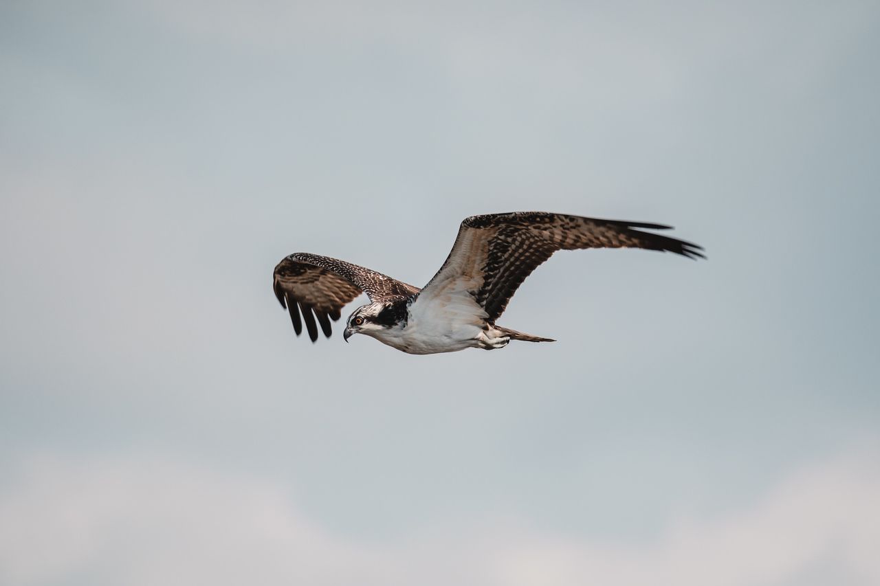 Cape May National Wildlife Refuge