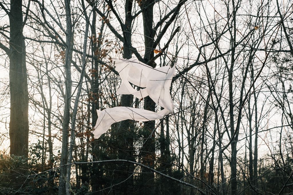 a piece of plastic stuck in a tree